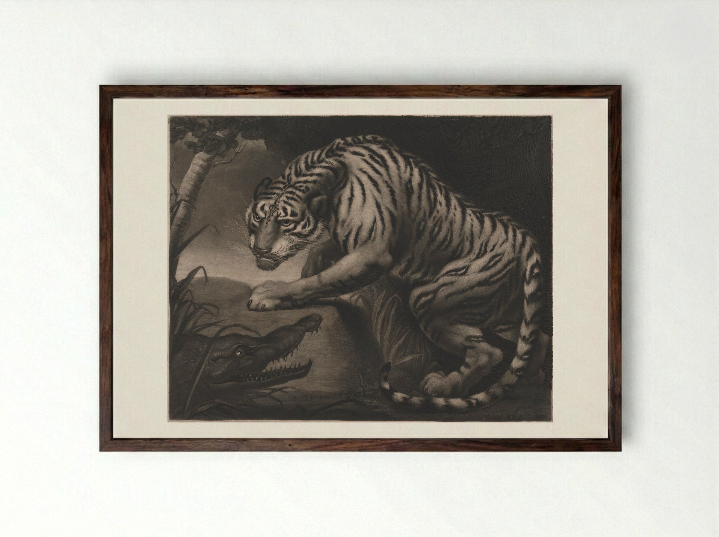 Tiger & Crocodile - Charles Turner - Framed Print Dark Wood