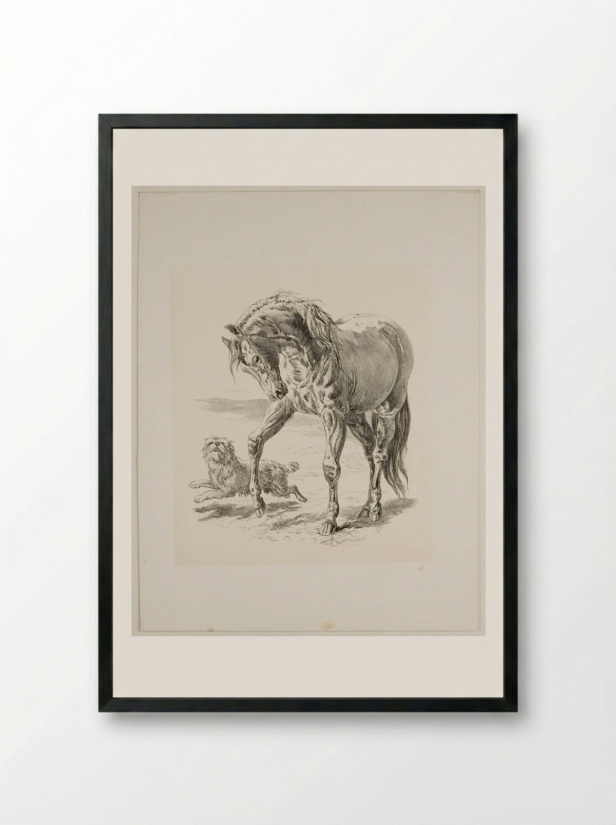 Horse and Dog - Walter Gorway - Framed Print Black
