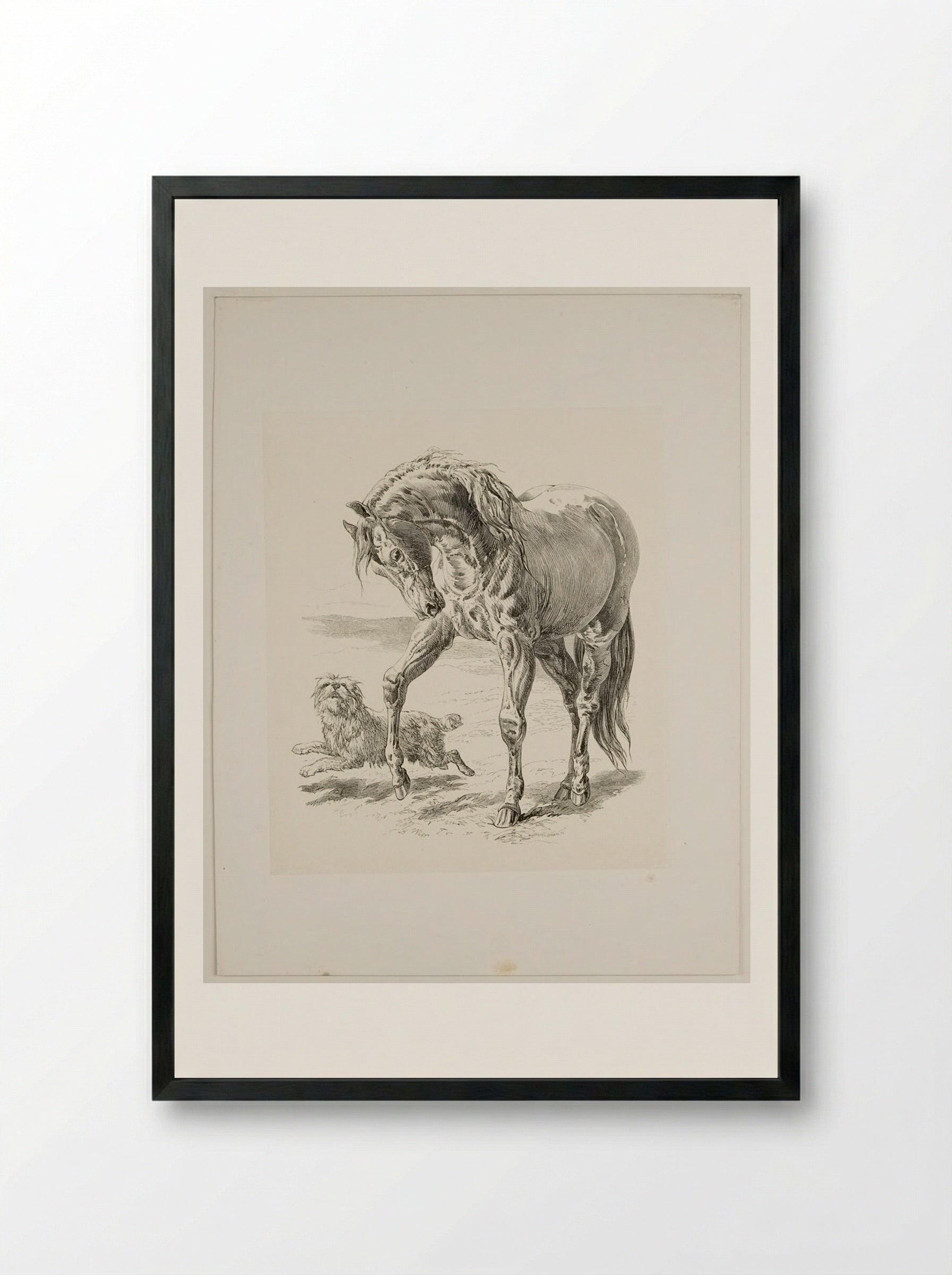 Horse and Dog - Walter Gorway - Framed Print Black