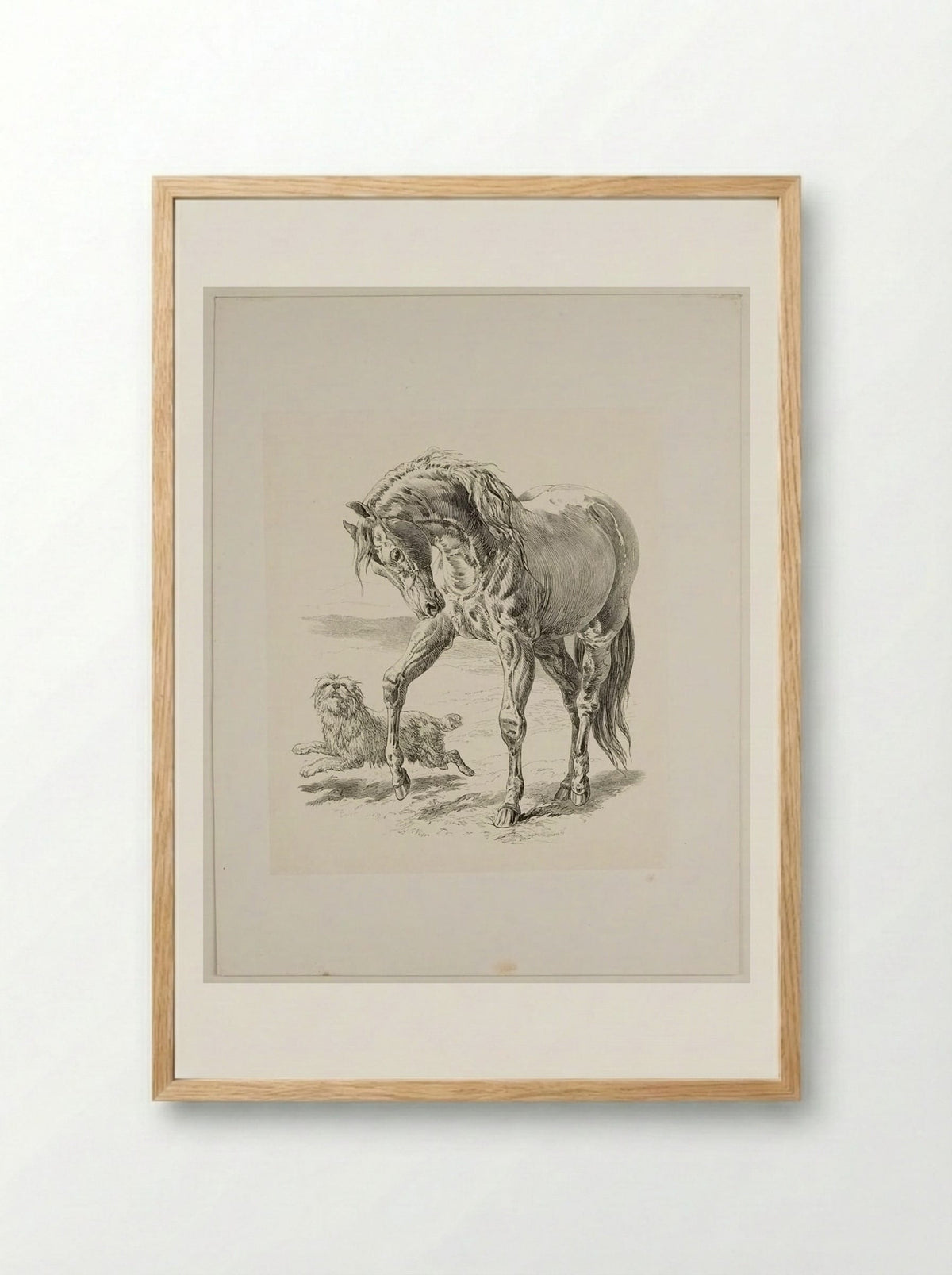 Horse and Dog - Walter Gorway - Framed Print Wood