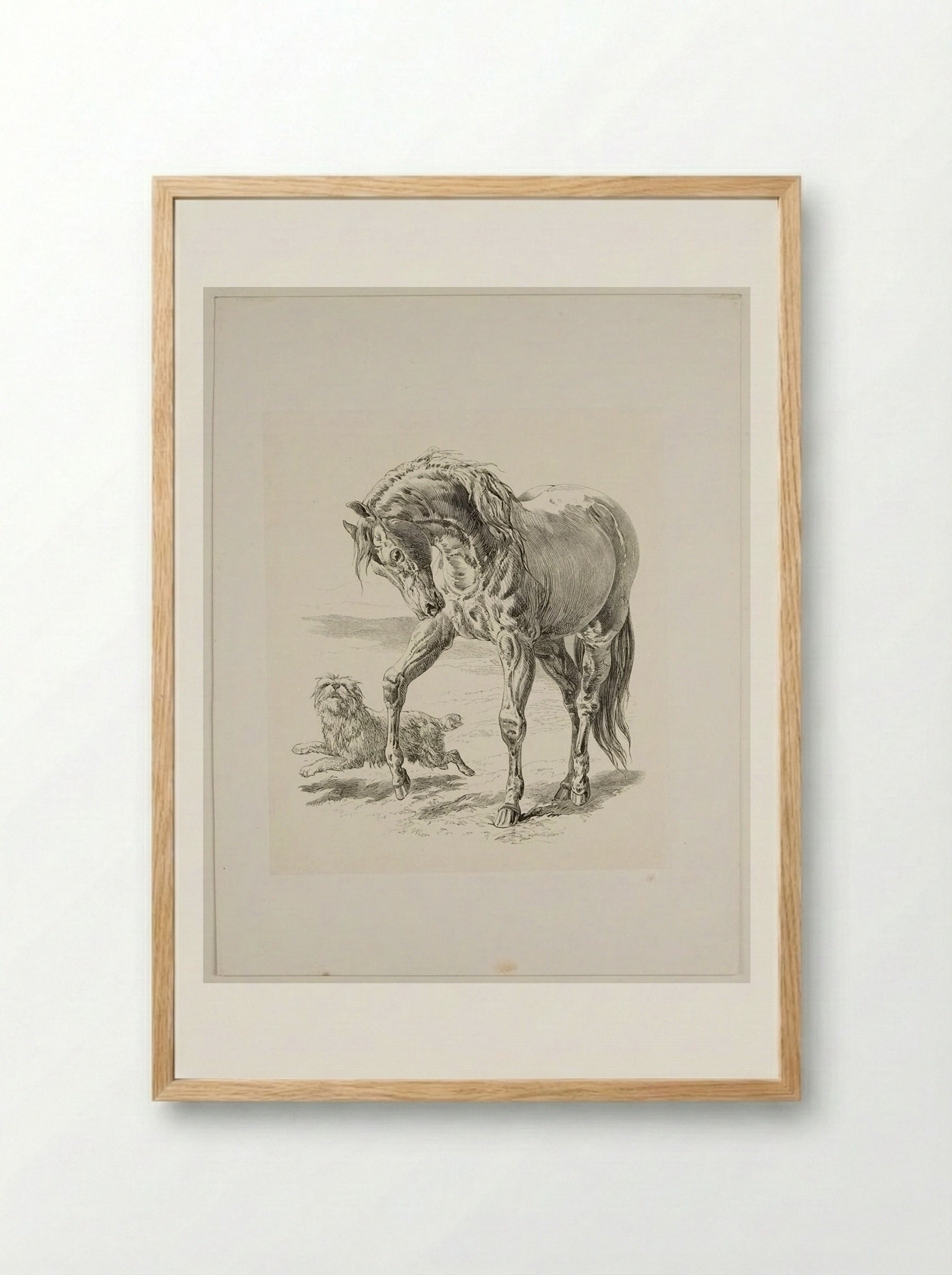 Horse and Dog - Walter Gorway - Framed Print Wood