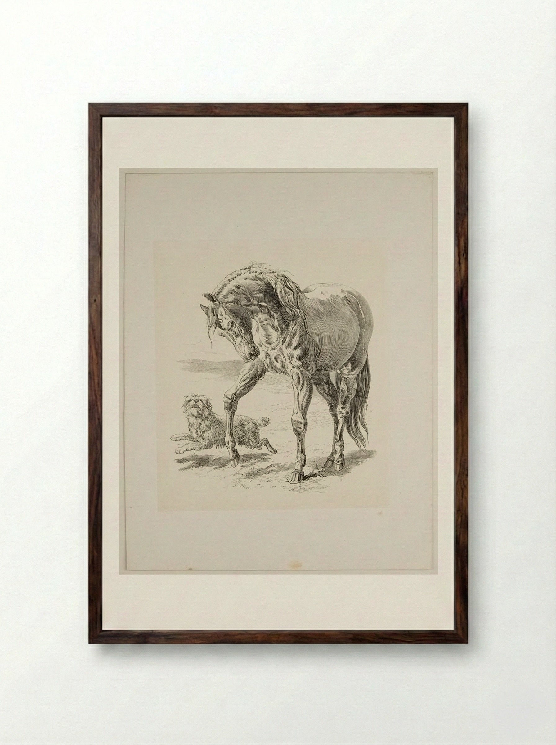 Horse and Dog - Walter Gorway - Framed Print Dark Wood
