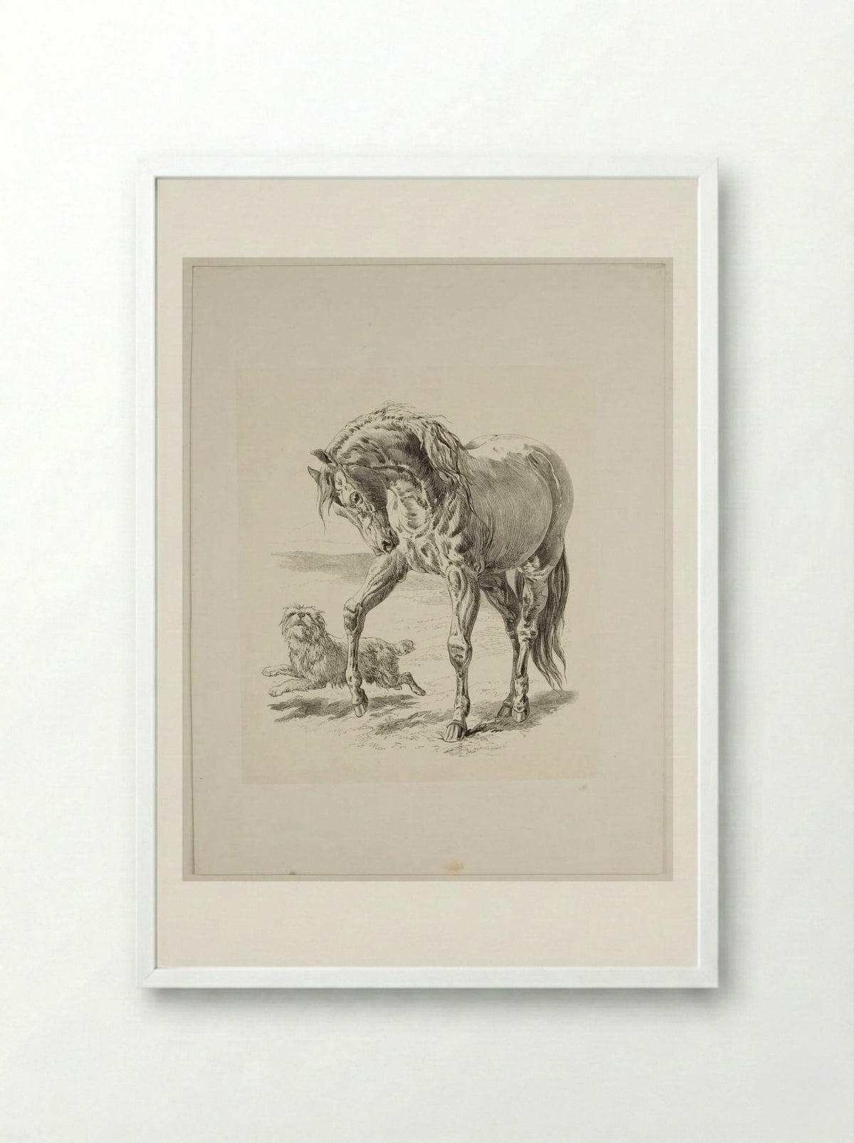 Horse and Dog - Walter Gorway - Framed Print White