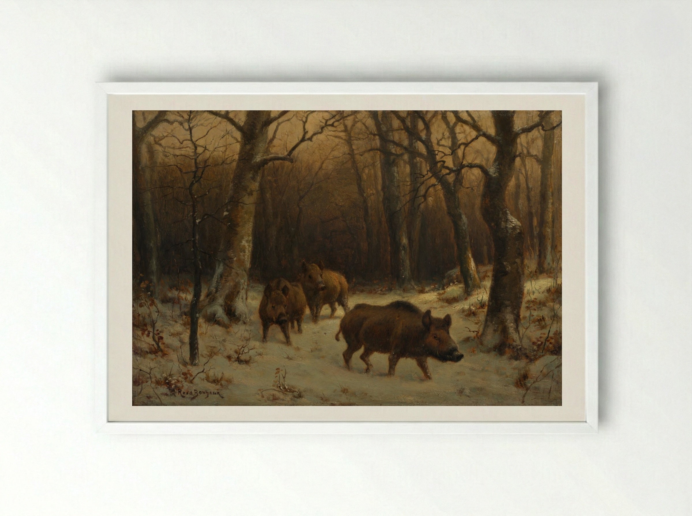 Wild Boars in the Snow - Rosa Bonheur - Framed Print White