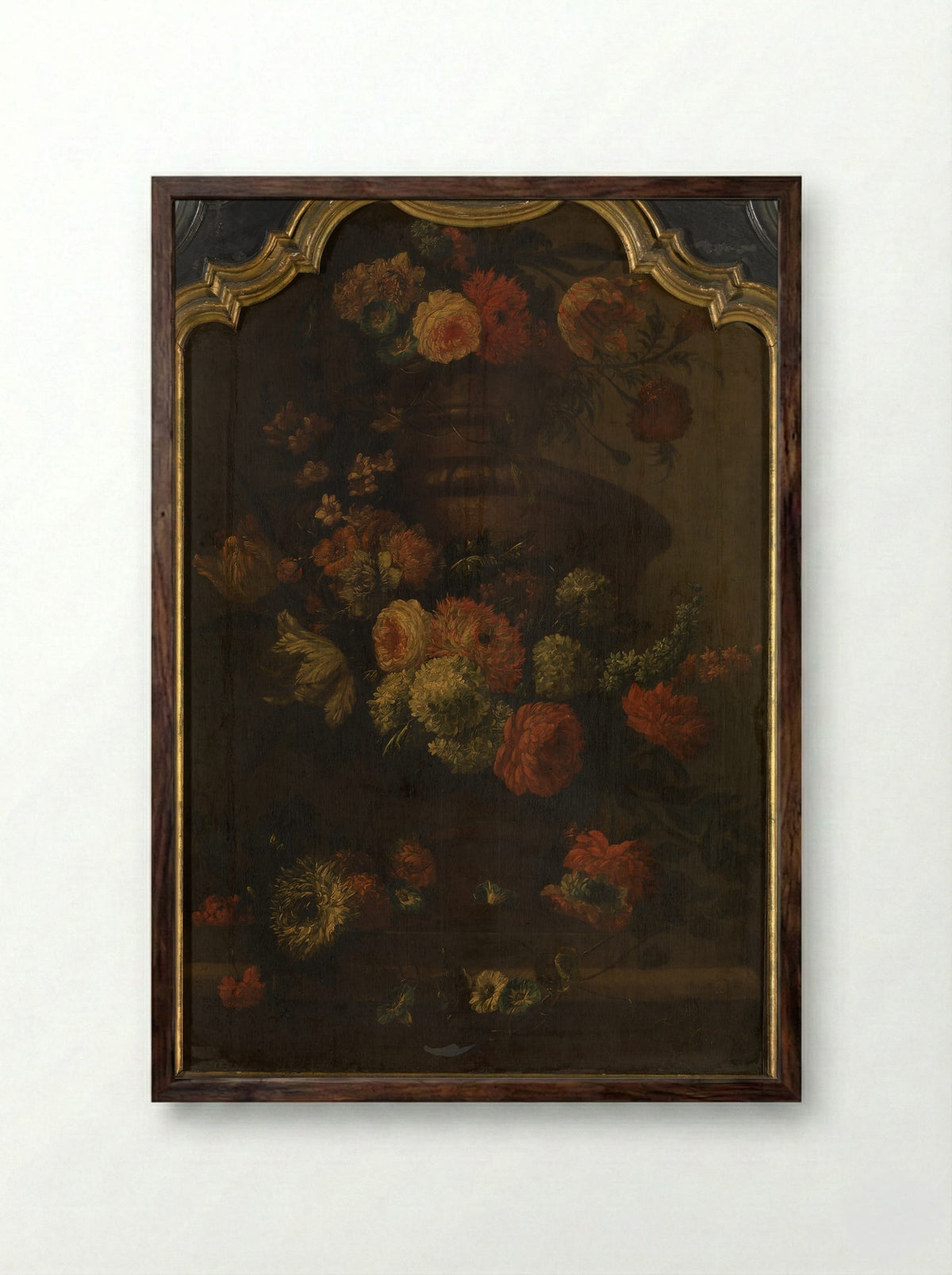 Papegaai (Floral Still Life) - Peter Casteels III - Framed Print Dark Wood