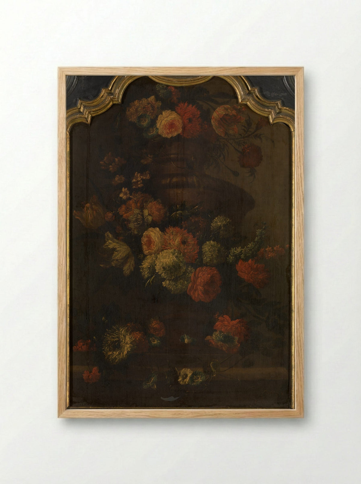 Papegaai (Floral Still Life) - Peter Casteels III - Framed Print Wood