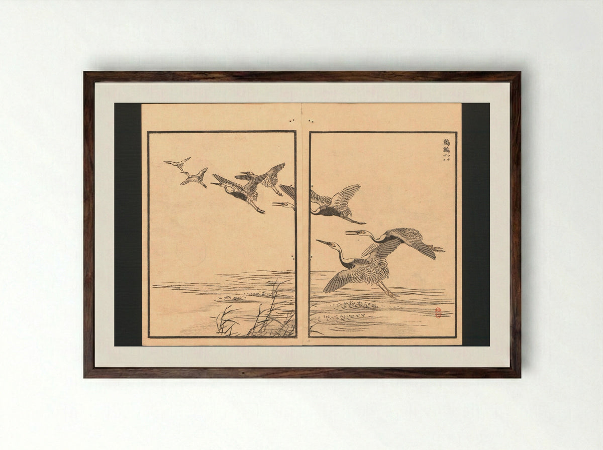 Bairei Picture Album of One Hundred Birds - Kōno Bairei - Framed Print Dark Wood