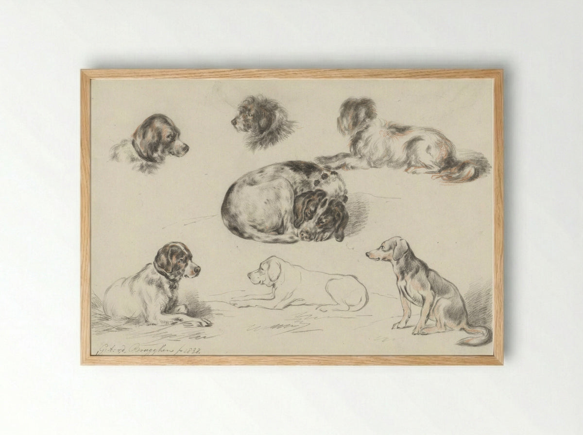Studies van honden - Guillaume Anne van der Brugghen - Framed Print Wood