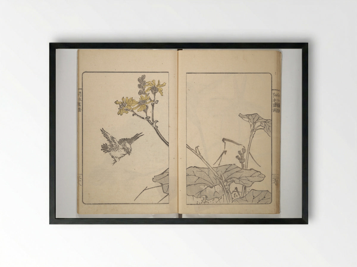 Kanrin Picture Album (Kanrin gafu) - Okada Kanrin - Framed Print Black