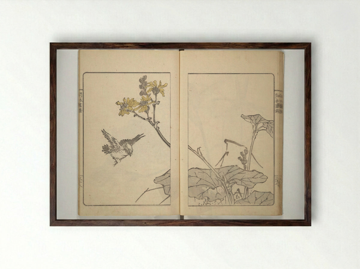 Kanrin Picture Album (Kanrin gafu) - Okada Kanrin - Framed Print Dark Wood