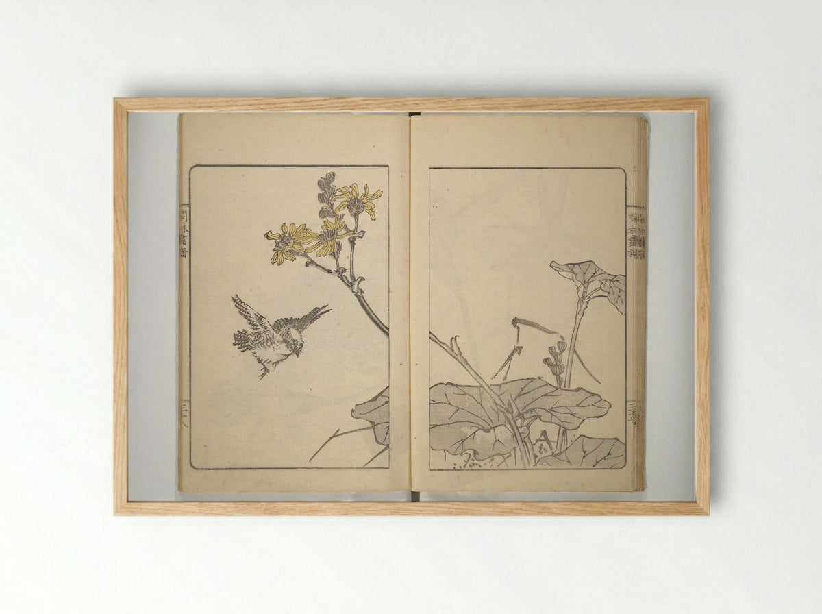 Kanrin Picture Album (Kanrin gafu) - Okada Kanrin - Framed Print Wood