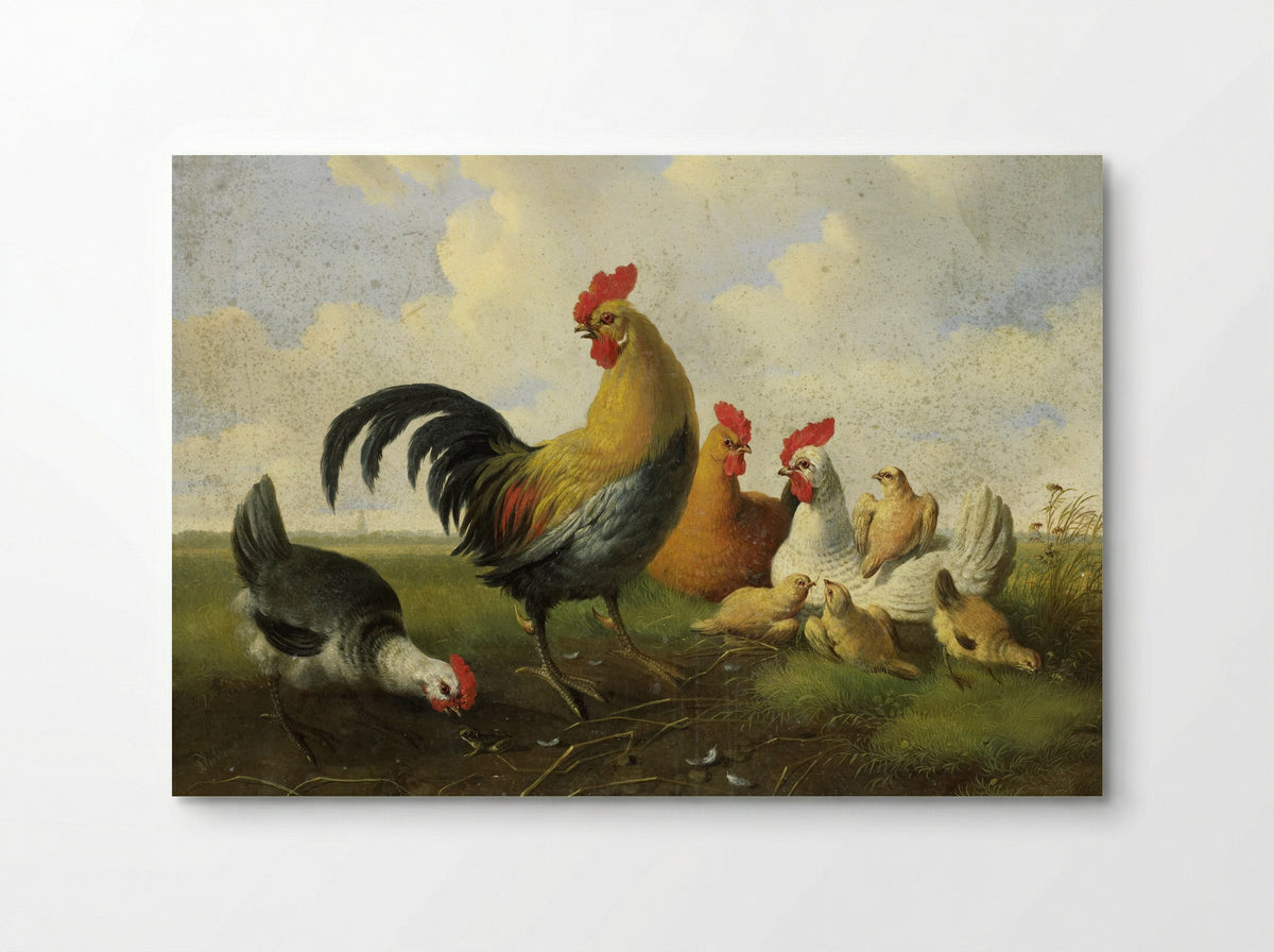 A Rooster with Hens and Chicks - Albertus Verhoesen - Poster