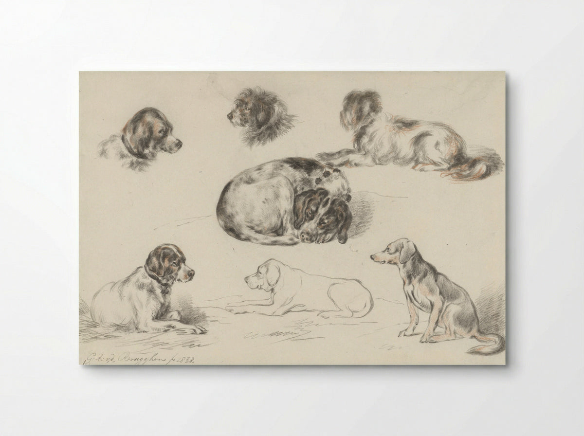 Studies van honden - Guillaume Anne van der Brugghen - Poster