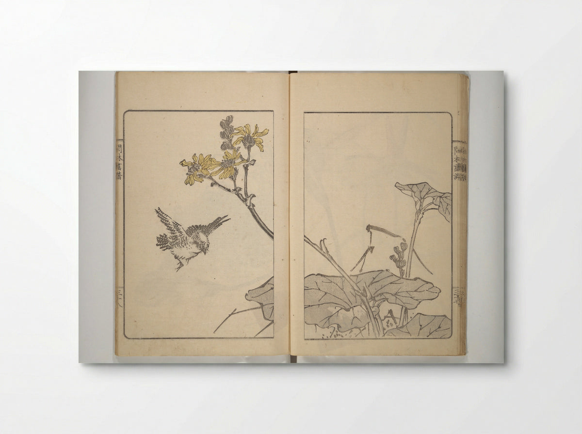 Kanrin Picture Album (Kanrin gafu) - Okada Kanrin - Poster