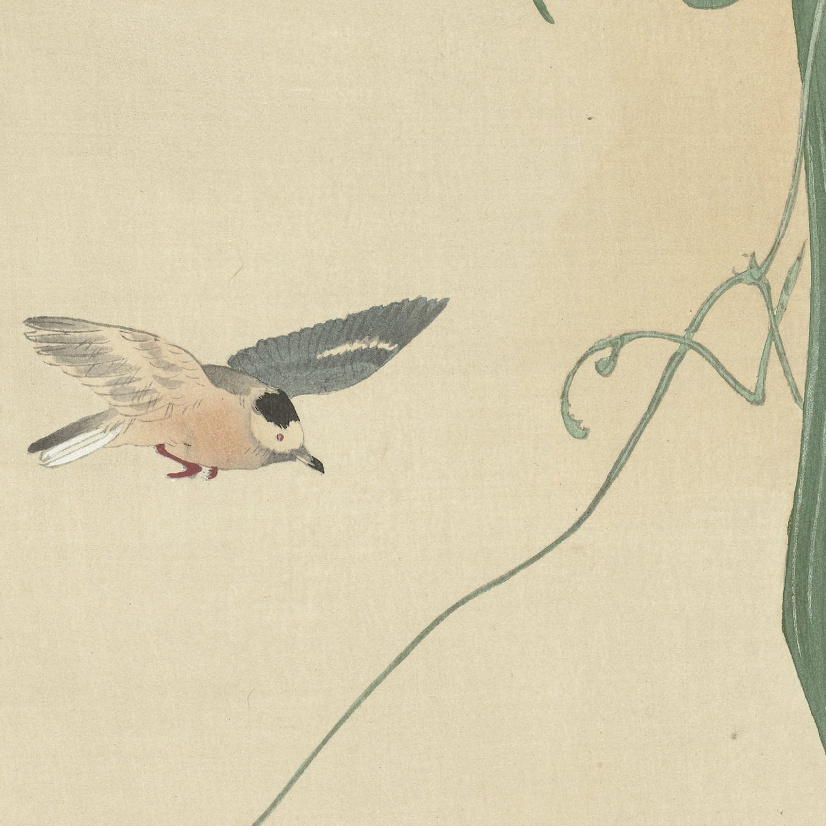 Bird with Flowering Bean Plant - Matsuki Heikichi - Artwork detail