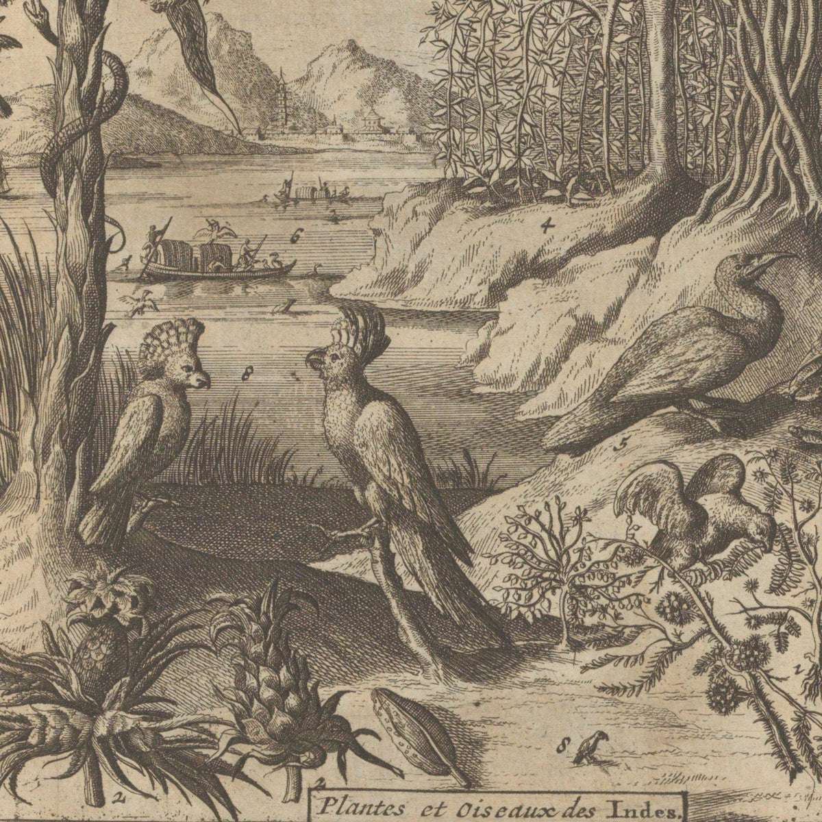 Planten, vogels en pepervelden - Romeyn de Hooghe - Artwork detail