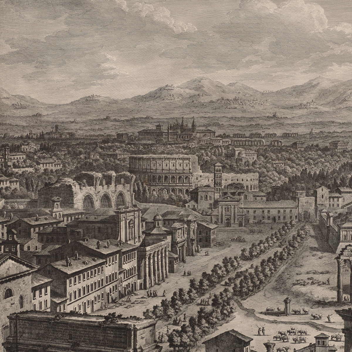 The Campo Vaccino - Giuseppe Vasi - Artwork detail