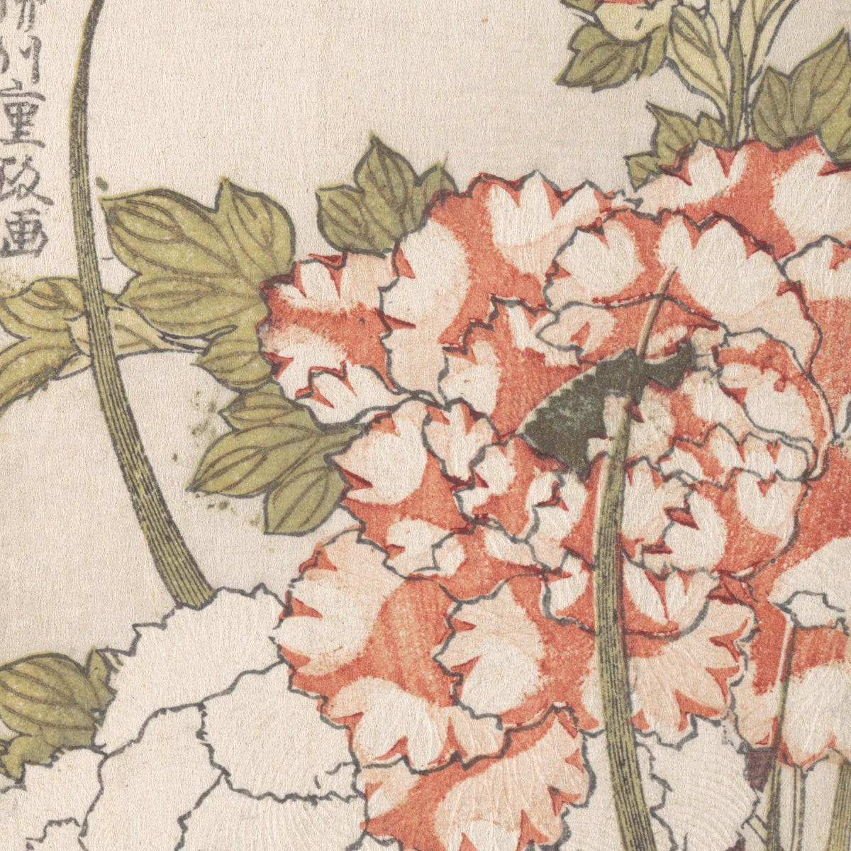 Peonies and Iris - Yanagawa Shigemasa - Artwork detail