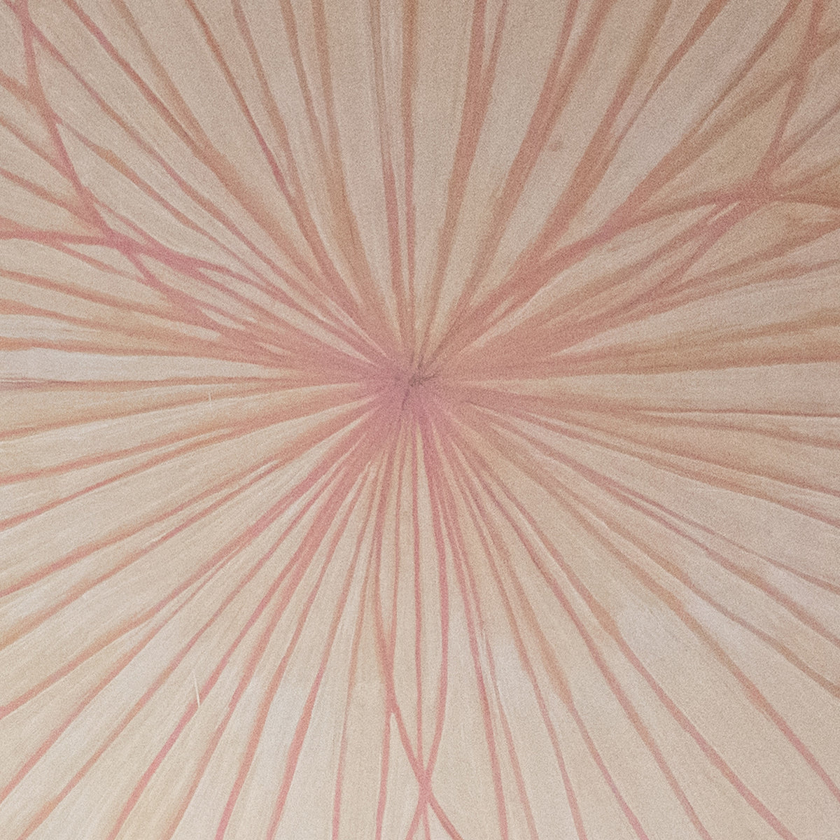 The Ten Largest, No. 9, Old Age - Hilma af Klint - Artwork detail