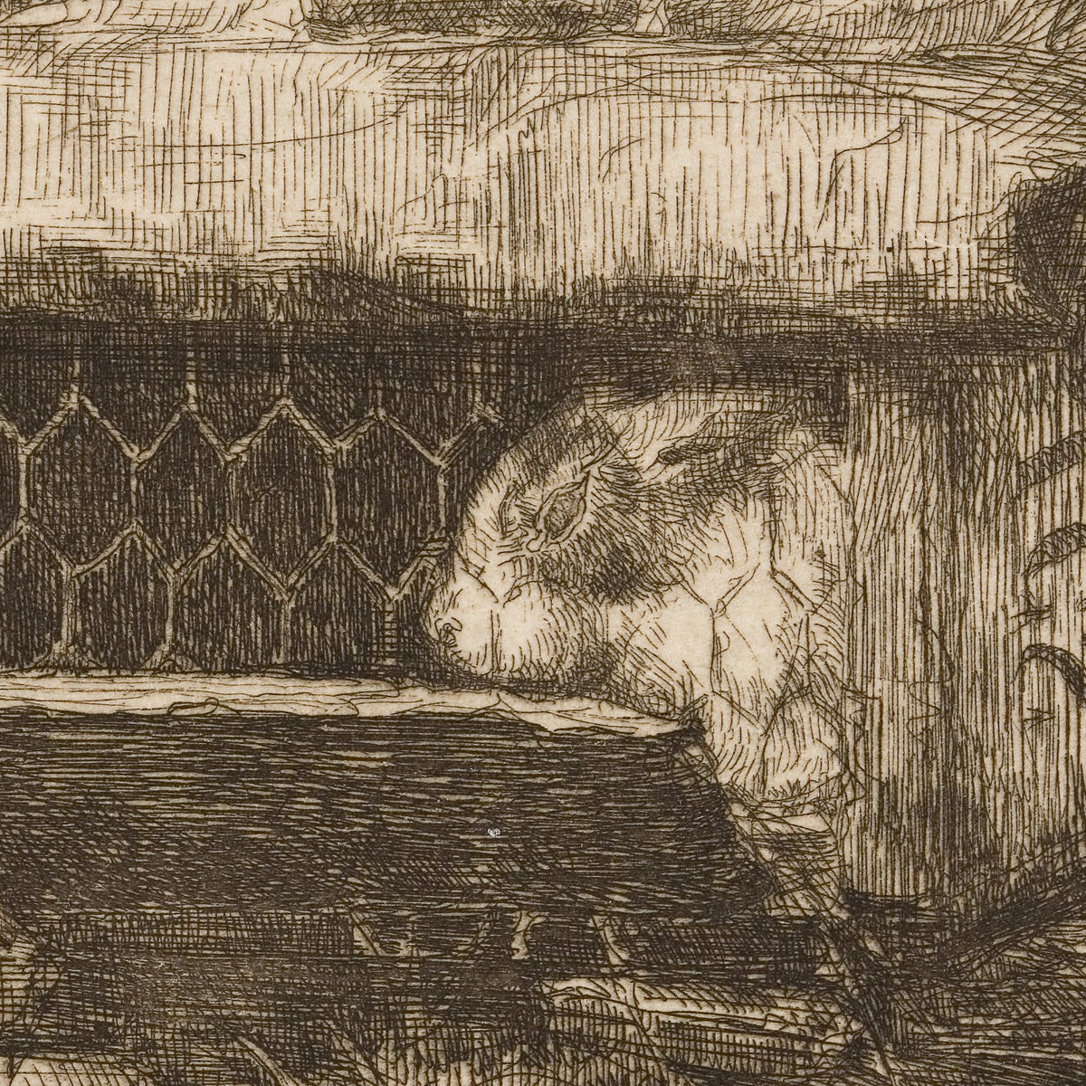 Konijnenhok (Rabbit Hutch) - Wally Moes - Artwork detail